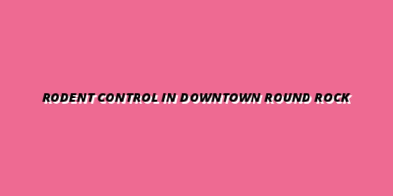 Rodent Control in Downtown Round Rock