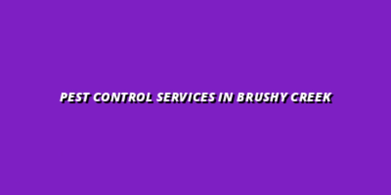 Affordable Pest Control Services in Brushy Creek, Round Rock