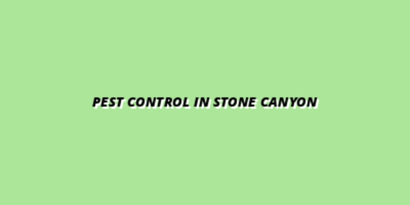 Guide to Choosing the Best Pest Control in Round Rock, Stone Canyon