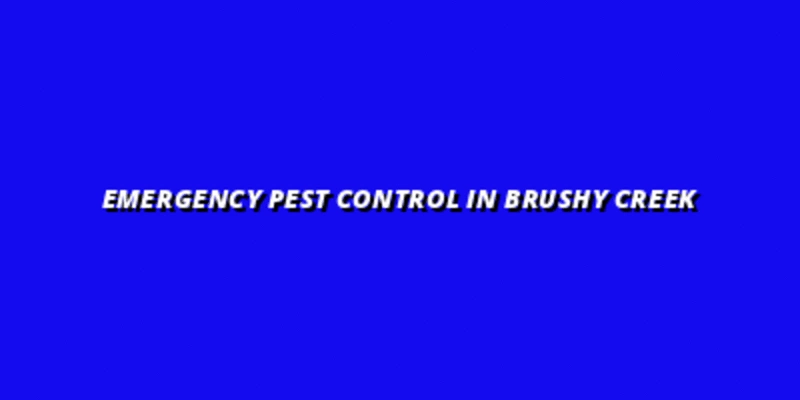 Emergency Pest Control in Brushy Creek, Round Rock
