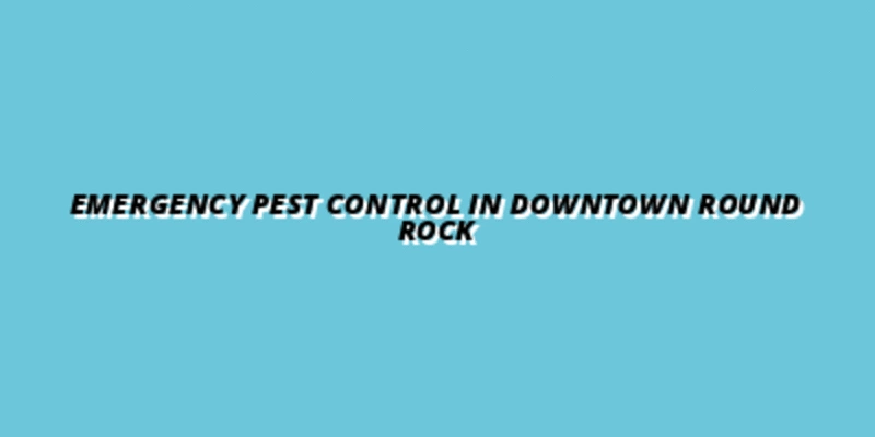 Emergency Pest Control in Downtown Round Rock