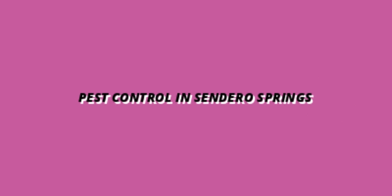 Guide to Choosing the Best Pest Control in Sendero Springs, Round Rock